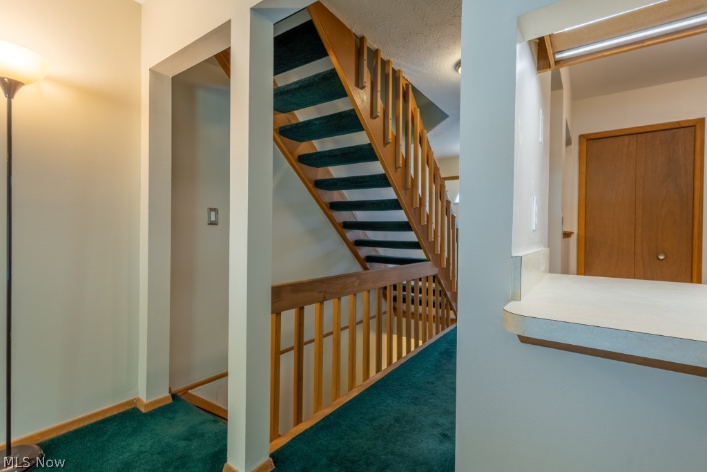 5514 Sandpiper Drive Parma OH 44134