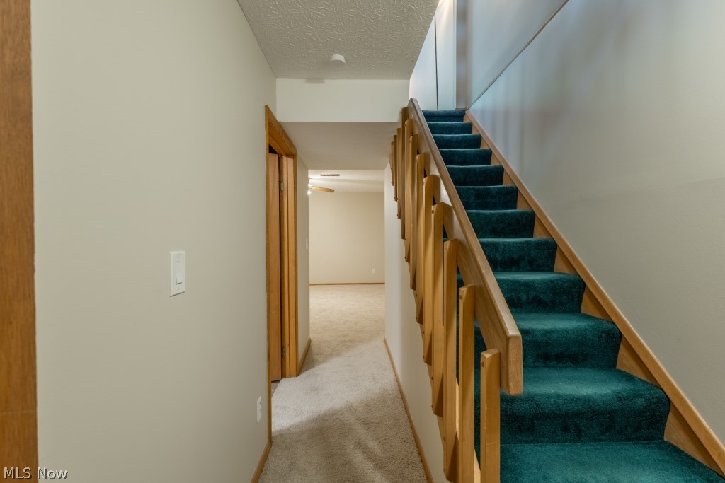 5514 Sandpiper Drive Parma OH 44134