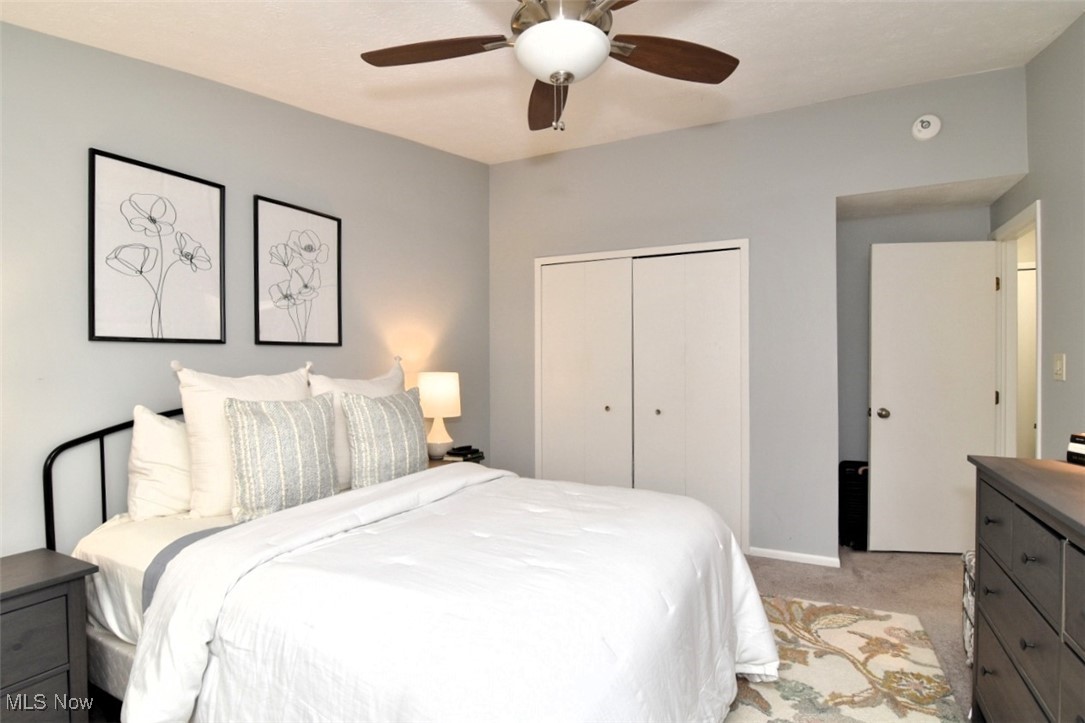 20996 Detroit Road Rocky River OH 44116