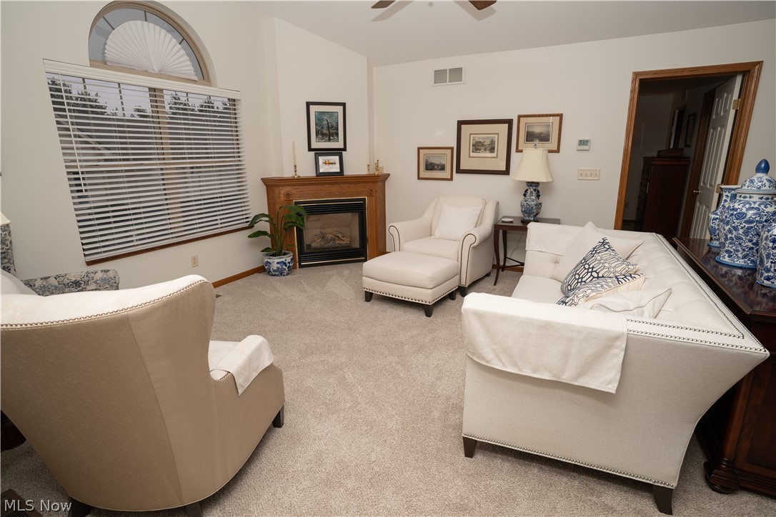 39 Village Court Columbiana OH 44408