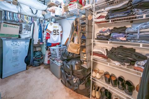 786 N Creek Drive Painesville OH 44077