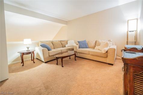 786 N Creek Drive Painesville OH 44077