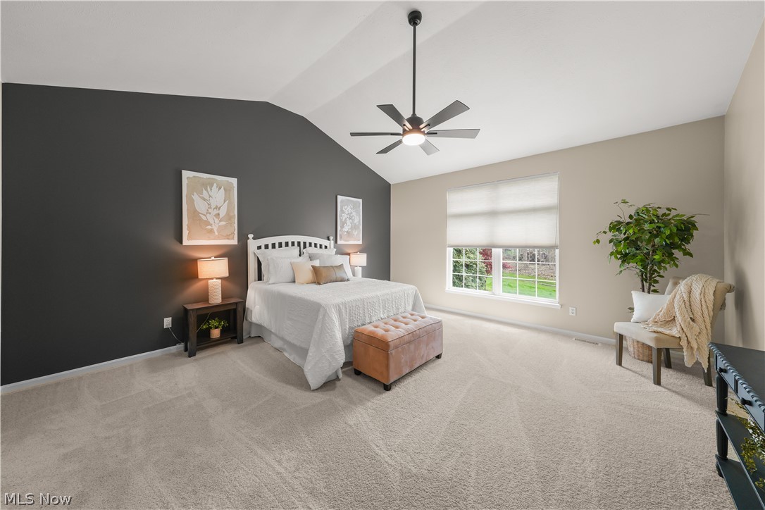 730 Woodlake Drive Aurora OH 44202