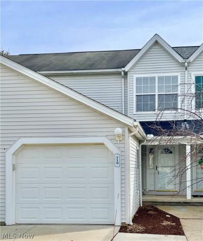 719 Gold Leaf Court Streetsboro OH 44241