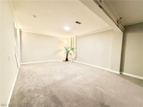 719 Gold Leaf Court Streetsboro OH 44241