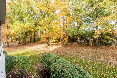 2112 Acacia Park Drive Lyndhurst OH 44124