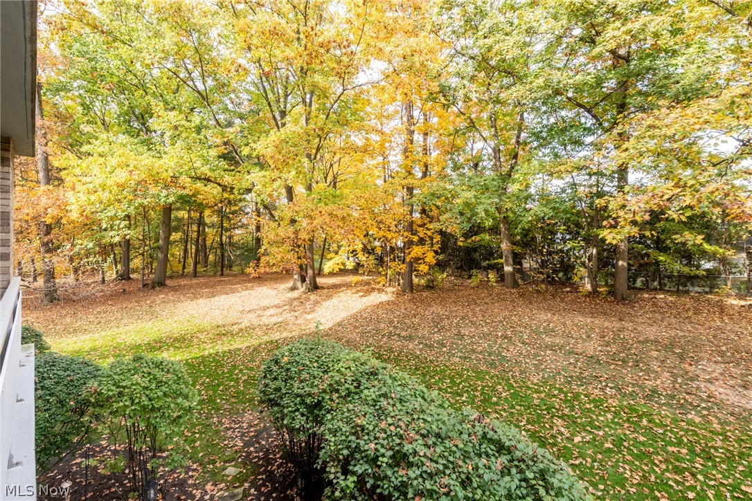 2112 Acacia Park Drive Lyndhurst OH 44124