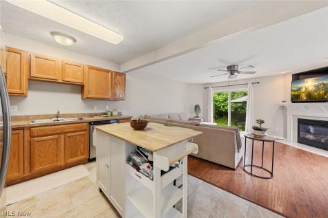 606 Birch Hill Drive Medina OH 44256