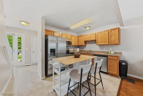 606 Birch Hill Drive Medina OH 44256