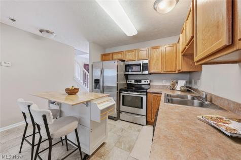 606 Birch Hill Drive Medina OH 44256