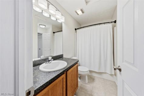 606 Birch Hill Drive Medina OH 44256