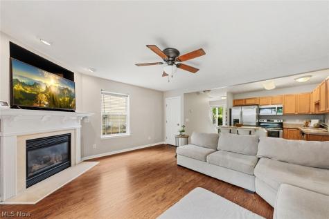 606 Birch Hill Drive Medina OH 44256