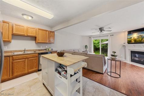 606 Birch Hill Drive Medina OH 44256