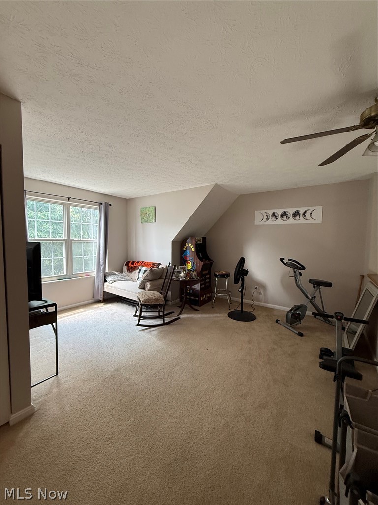 24619 Meadow Lane Olmsted Falls OH 44138