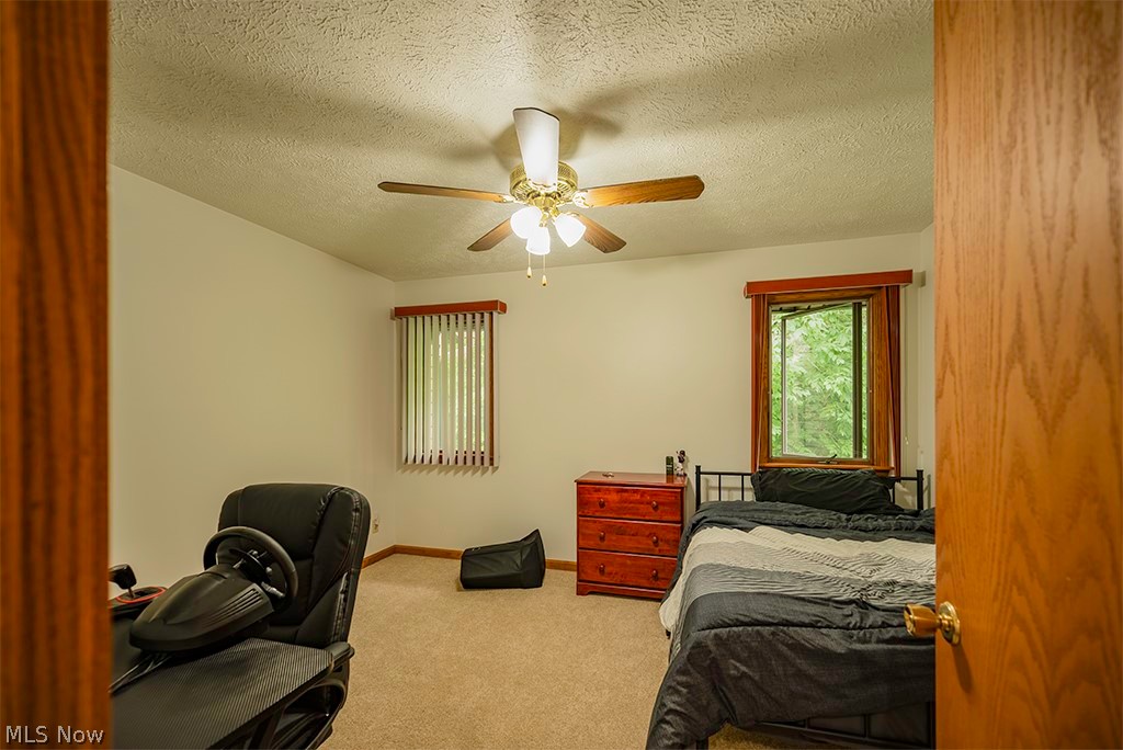4461 Willow Creek Drive SE Howland OH 44484