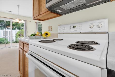 1044 Patrick Place Wooster OH 44691