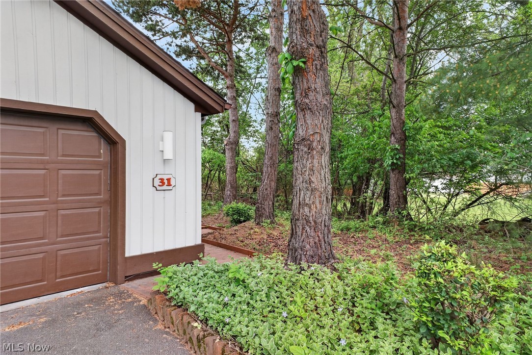31 Pinewood Drive Medina OH 44256