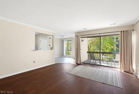 6320 Greenwood Sagamore Hills OH 44067