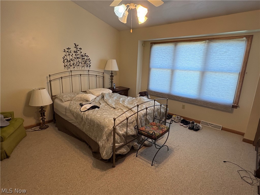 3900 Mercedes Place Canfield OH 44406