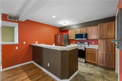 23003 Chandlers Lane Olmsted Falls OH 44138
