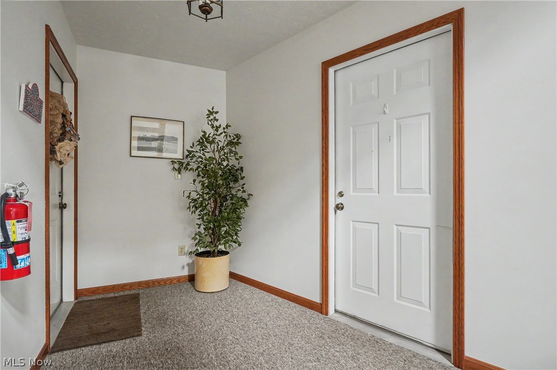1344 Fox Run Court Youngstown OH 44512