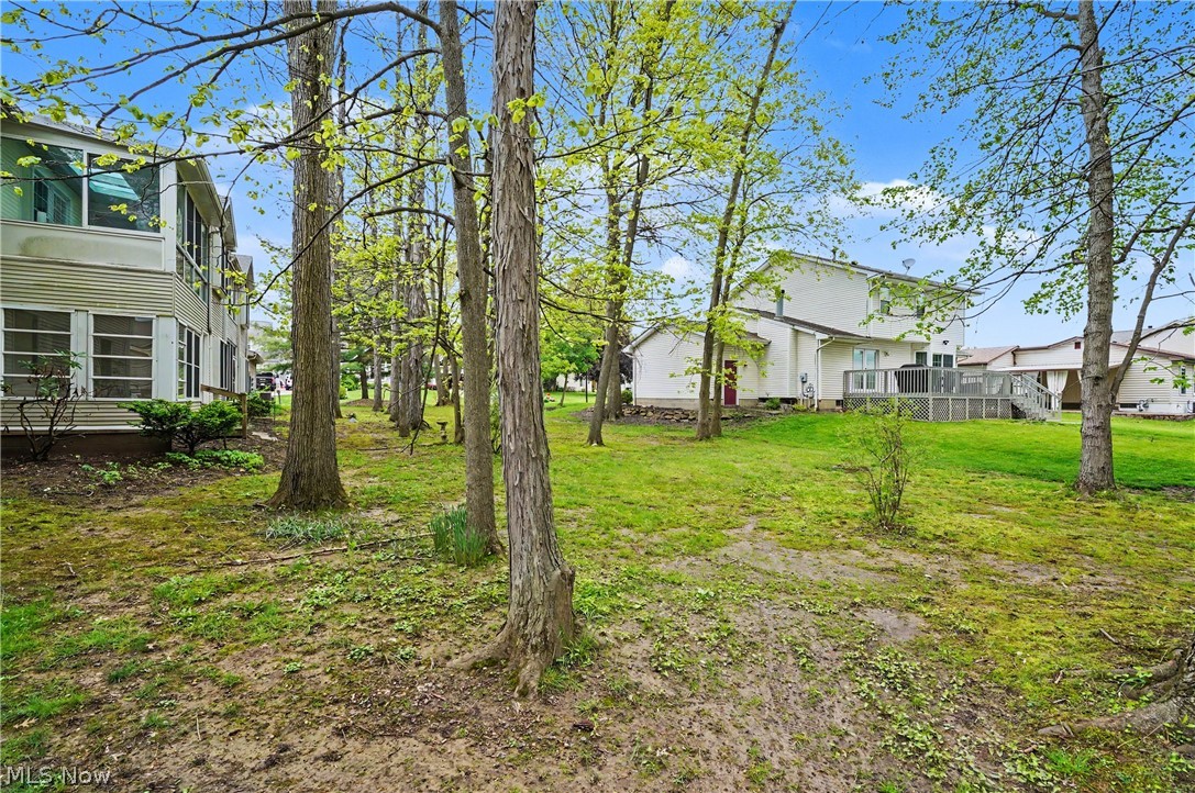 1344 Fox Run Court Youngstown OH 44512