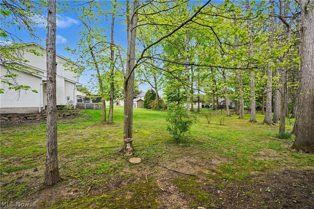1344 Fox Run Court Youngstown OH 44512