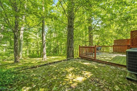 8362 Villa Marina Court Mentor OH 44060