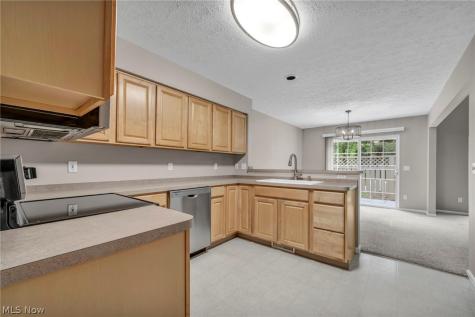 3205 Village Green Drive Westlake OH 44145