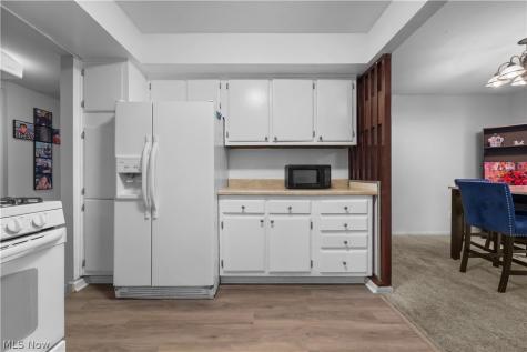 6330 Greenwood Sagamore Hills OH 44067