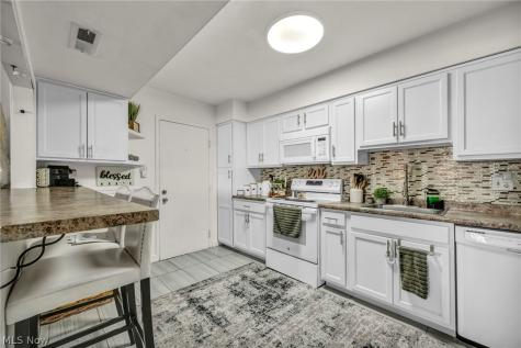 11804 Harbour Light Drive North Royalton OH 44133