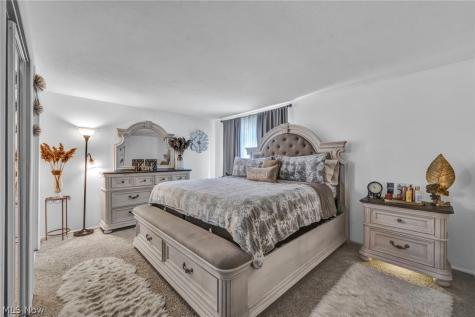 11804 Harbour Light Drive North Royalton OH 44133