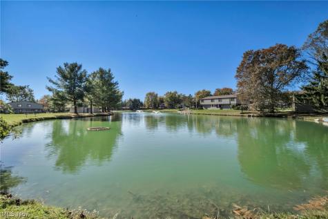11804 Harbour Light Drive North Royalton OH 44133