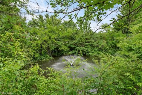 3061 Macintosh Drive Westlake OH 44145