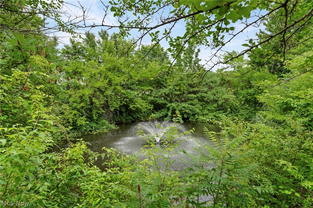 3061 Macintosh Drive Westlake OH 44145