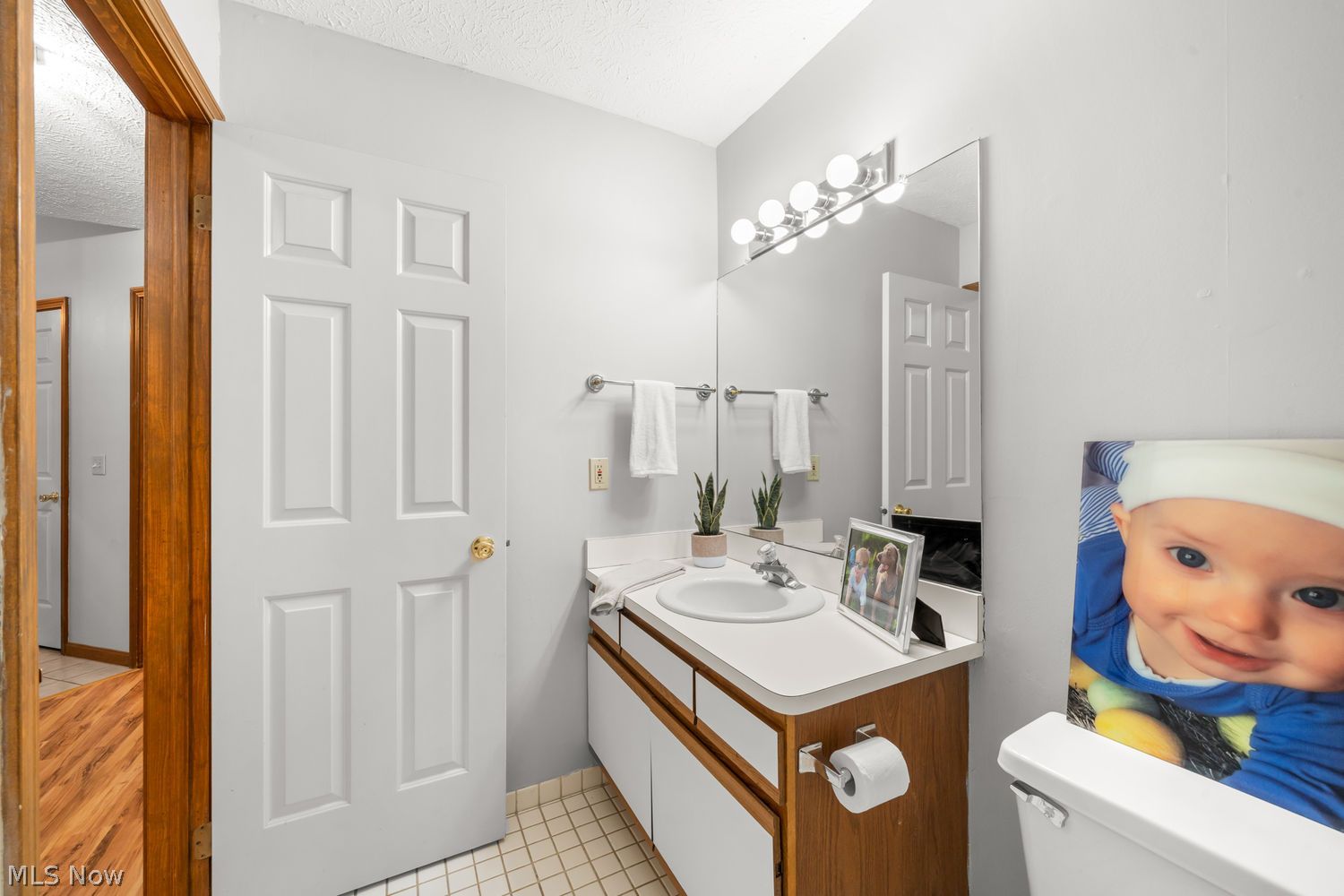 6684 Hidden Lake Trail Brecksville OH 44141