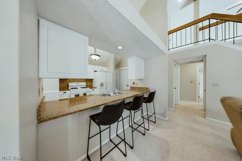 1310 Buckboard Lane Broadview Heights OH 44147