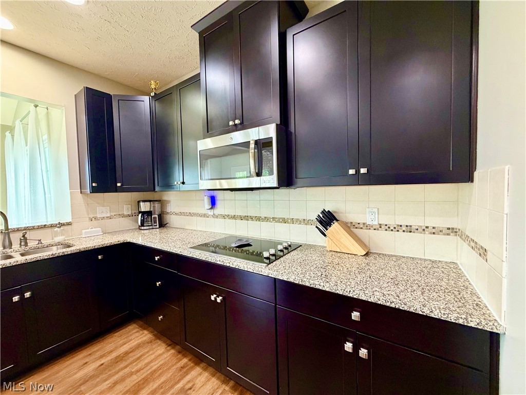9901 Gabriels Way Mentor OH 44060