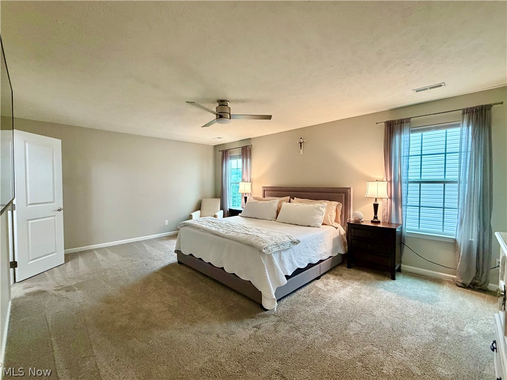 9901 Gabriels Way Mentor OH 44060