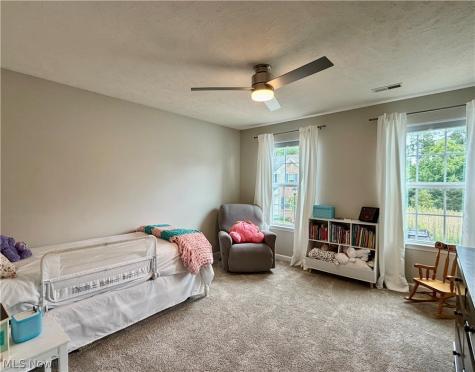 9901 Gabriels Way Mentor OH 44060