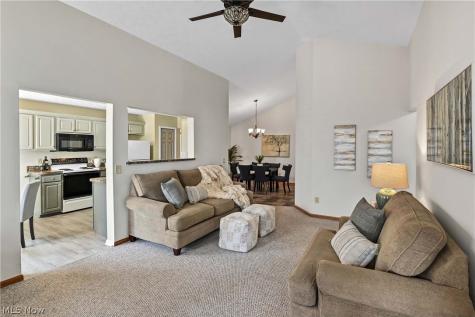 31170 Lily Lane North Olmsted OH 44070