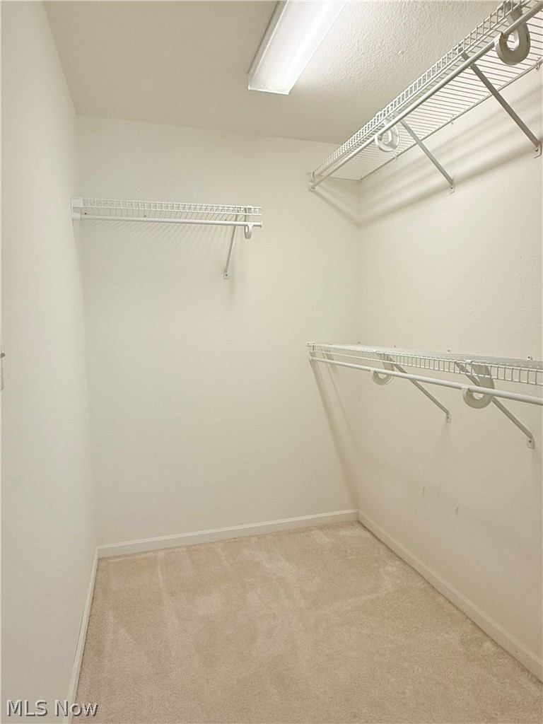 4084 Saint Andrews Court Canfield OH 44406
