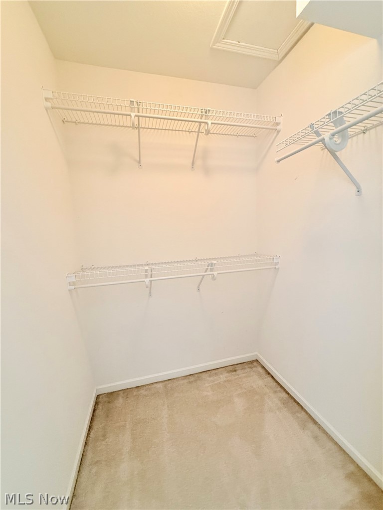 4084 Saint Andrews Court Canfield OH 44406