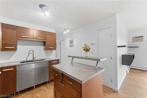 23885 David Drive North Olmsted OH 44070