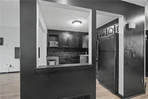 1665 Sugarbush Court Streetsboro OH 44241