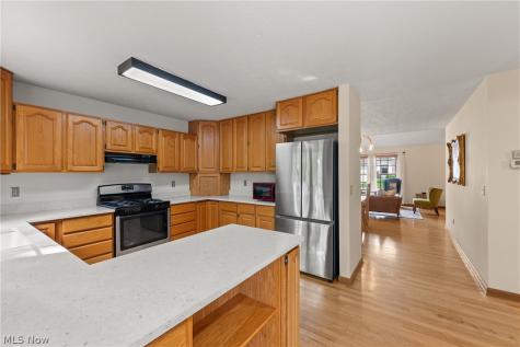 14 Pond Drive Rocky River OH 44116