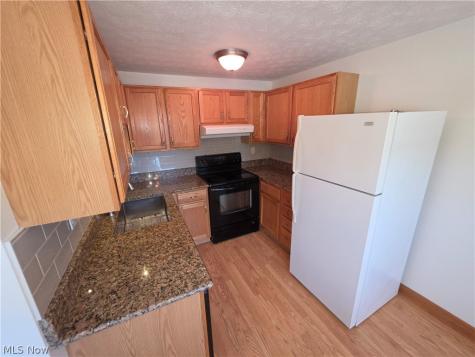 7372 Avon Drive Mentor OH 44060