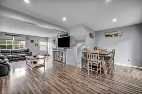 762 Pine Spring Drive Painesville OH 44077