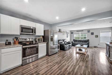 762 Pine Spring Drive Painesville OH 44077