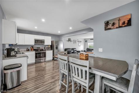 762 Pine Spring Drive Painesville OH 44077